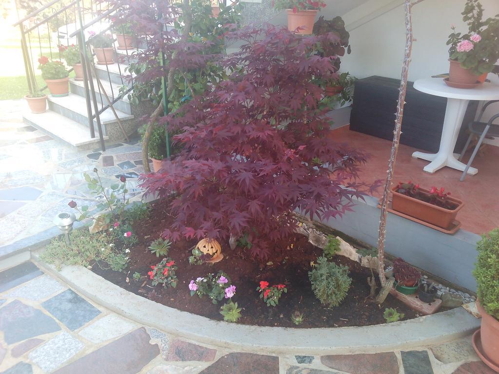 Apartment Gogo Umag Bagian luar foto